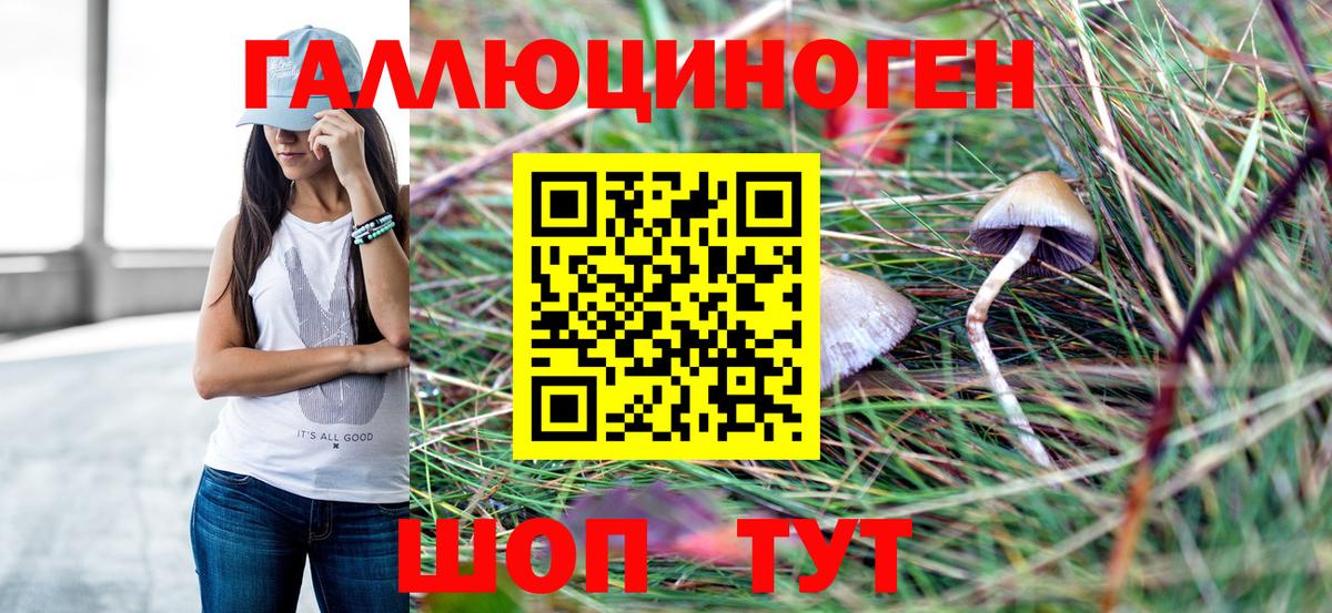 Дербент  Псилоцибиновые грибы GOLDEN TEACHER  Вход с VPN  Галлюциногенные грибы MAGIC MUSHROOMS 